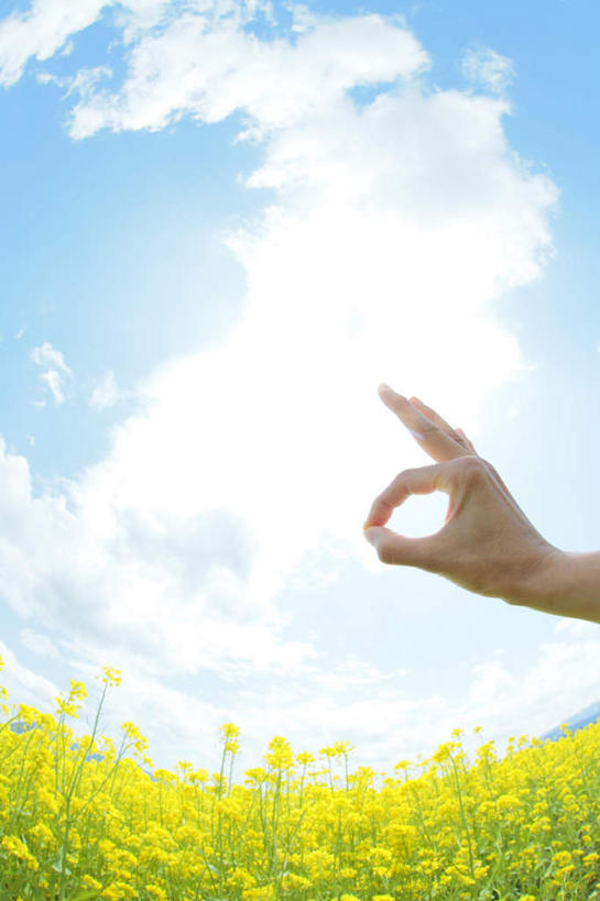 东方人,一个人,竖图,室外,白天,仰视,旅游,度假,满意,胜利,花海,花圃,美景,植物,叶子,亚洲,仅一个年轻女性,仅一个女性,仅一个人,许多,盛开,景观,花蕾,黄种人,娱乐,花,花瓣,花朵,花卉,鲜花,黄色,蓝色,绿色,蓝天,天空,自然,花丛,花束,花田,天,花苞,花蕊,油菜花,手势,享受,休闲,景色,放松,同意,ok手势,晴朗,自然风光,万里无云,年轻女性,女人,女性,亚洲人,晴空,晴空万里,半身,彩图,低角度拍摄,芸苔,芸薹,同意手势