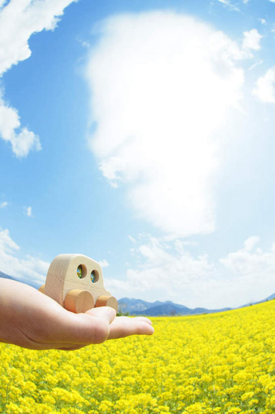 东方人,一个人,捧,竖图,室外,白天,广角镜头,鱼眼镜头,仰视,旅游,度假,花海,花圃,美景,植物,汽车,叶子,亚洲,仅一个年轻女性,仅一个女性,仅一个人,许多,盛开,木制,景观,花蕾,黄种人,娱乐,车,花,花瓣,花朵,花卉,鲜花,黄色,蓝色,绿色,蓝天,天空,自然,模型,木制品,交通工具,轿车,花丛,花束,花田,天,花苞,花蕊,油菜花,享受,休闲,景色,放松,晴朗,自然风光,载具,万里无云,年轻女性,女人,女性,亚洲人,晴空,晴空万里,端,端着,捧着,手捧,半身,彩图,低角度拍摄,芸苔,芸薹