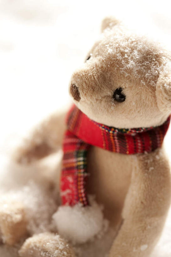 无人,竖图,俯视,室外,特写,白天,游戏,雪,大雪,熊,玩具,一条,装饰,玩偶,积雪,雪景,冬季,冬天,棕色,泰迪熊,玩,娱乐,一个,红色,绿色,玩具熊,围巾,休闲,温暖,寒冷,益智,毛绒玩具,单个,围脖,保暖,华丽,安慰,点缀,御寒,发泄,消遣,宣泄,衬托,美观,雅致,雅观,严寒,罗斯福熊,玩耍,嬉戏,彩图,高角度拍摄