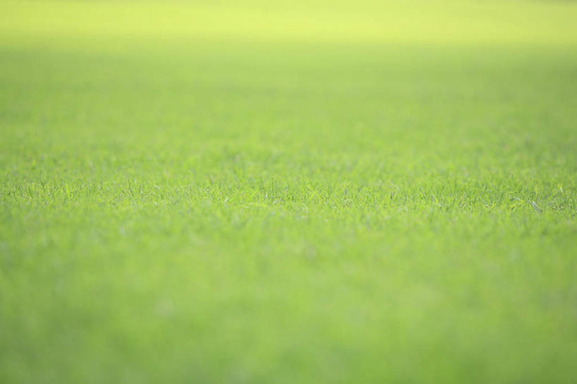 无人,横图,俯视,室外,白天,旅游,度假,草地,草坪,美景,植物,阴影,朦胧,模糊,光线,影子,景观,娱乐,草,绿色,阳光,自然,享受,休闲,景色,放松,自然风光,彩图,高角度拍摄