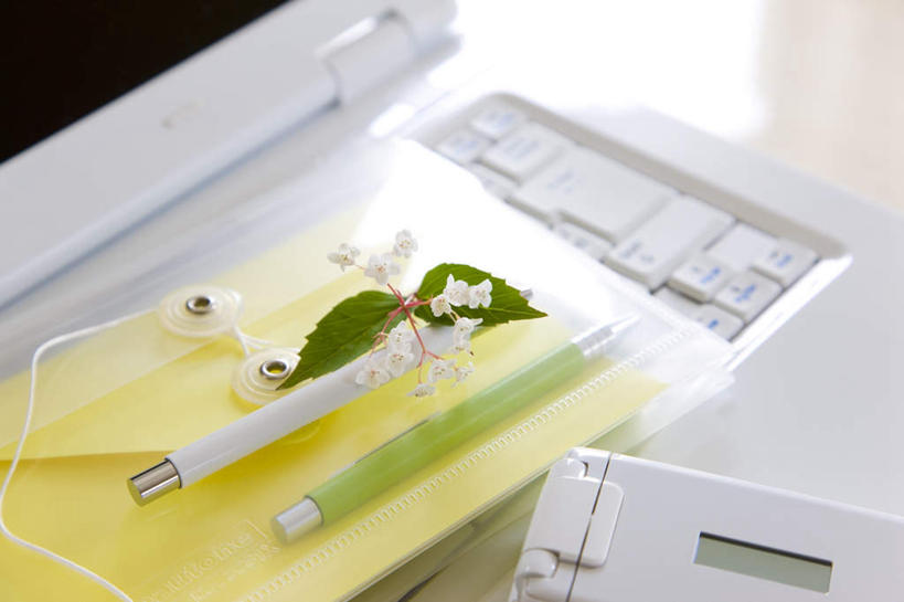 无人,办公室,打电话,横图,俯视,室内,白天,电脑,笔记本电脑,家具,桌子,电话,手机,许多,朦胧,模糊,装饰,盛开,网络,笔,办公桌,办公用品,钢笔,文件夹,圆珠笔,花蕾,通讯设备,文具,花,花瓣,花朵,鲜花,黄色,白色,学习用品,花苞,花蕊,华丽,修饰,一台,文具用品,点缀,无线,通信设备,无线网络,无线上网,便携式电脑,办公家具,衬托,美观,雅致,雅观,交流,手提电脑,沟通,通话,彩图,高角度拍摄