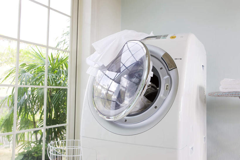 无人,横图,室内,白天,正面,草地,草坪,植物,窗户,阴影,朦胧,模糊,光线,电器,影子,玻璃窗,草,树,树木,蓝色,绿色,蓝天,天空,阳光,自然,天,打开,洗衣机,生长,晴朗,成长,一台,家电,家用电器,开启,万里无云,一扇,晴空,晴空万里,清洗,洗涤,彩图