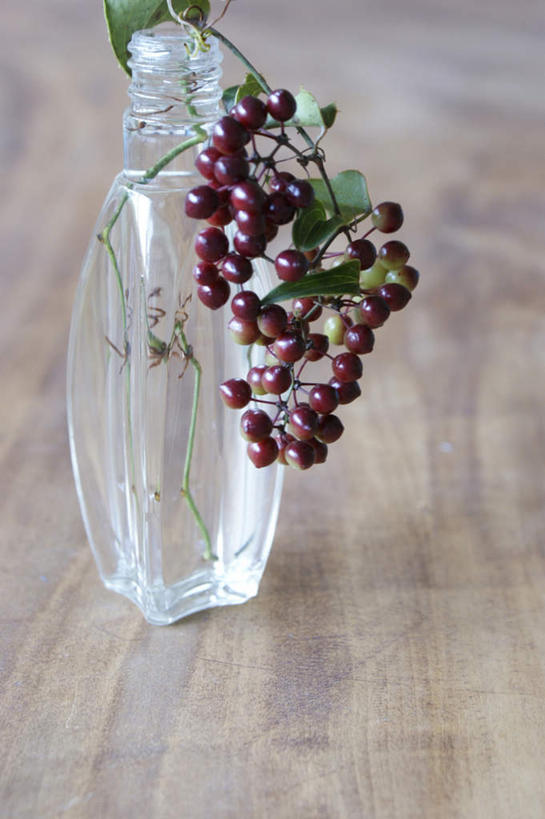 无人,竖图,俯视,室内,白天,水,餐桌,桌子,花瓶,叶子,朦胧,模糊,液体,水滴,绿叶,玻璃制品,一个,玻璃瓶,瓶子,嫩叶,摄影,冬青,影棚,单个,餐台,生命,冻青,叶,叶片,彩图,高角度拍摄,影棚拍摄,拍摄