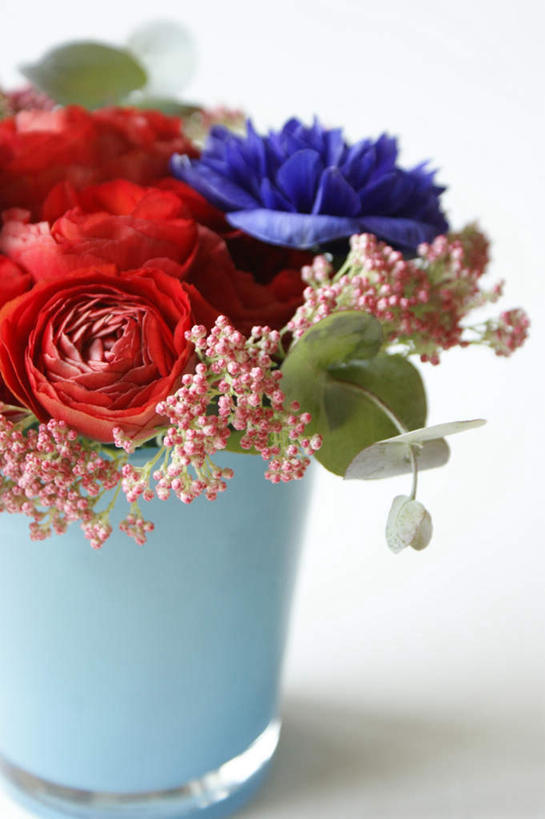 无人,竖图,俯视,室内,白天,白色背景,智慧,植物,花瓶,许多,艺术,盛开,盆栽,陶瓷,毛茛,草药,药草,盆景,陶瓷制品,花蕾,文化,中药,花,花瓣,花朵,鲜花,一个,红色,蓝色,绿色,自然,插花,瓶子,花苞,花蕊,摄影,影棚,生长,单个,成长,插花艺术,创造,创作,药材,中草药,想象,中药材,本草,老虎脚爪草,鱼疔草,彩图,高角度拍摄,影棚拍摄,拍摄