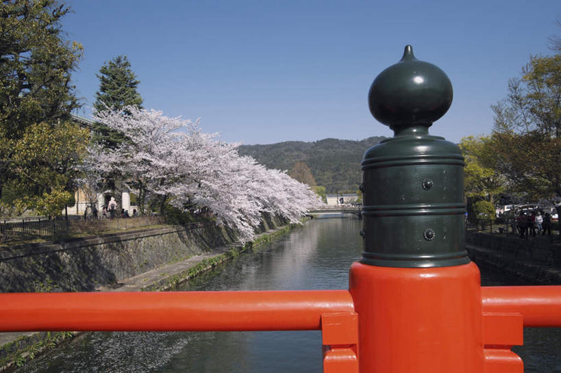 无人,横图,室外,白天,正面,旅游,度假,河流,美景,水,植物,京都,日本,亚洲,一排,许多,阴影,整齐,光线,木板,影子,河水,景观,水流,桥,木桥,娱乐,栈桥,树,树木,排列,蓝色,绿色,蓝天,天空,阳光,自然,天,享受,休闲,景色,放松,京都府,生长,晴朗,成长,人行桥,木板桥,队列,自然风光,东亚,本州,万里无云,本州岛,日本国,近畿地方,近畿,晴空,晴空万里,彩图