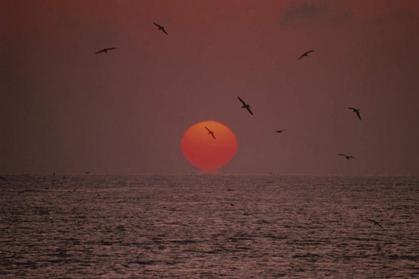 无人,横图,室外,白天,正面,旅游,度假,日出,海浪,海洋,美景,太阳,海鸟,鸟,日本,亚洲,许多,飞翔,飞行,鸟类,景观,浪花,水平线,辽阔,朝霞,晨曦,海平线,黎明,千叶县,娱乐,蓝色,蓝天,天空,阳光,自然,海水,天,享受,休闲,广阔,景色,放松,晴朗,一望无际,自然风光,海景,东亚,本州,万里无云,关东地方,本州岛,日本国,千叶,无边无际,一马平川,大海,风浪,海,海水的波动,近岸浪,涌浪,朝阳,晴空,晴空万里,彩图,破晓,水天相接,水天一线