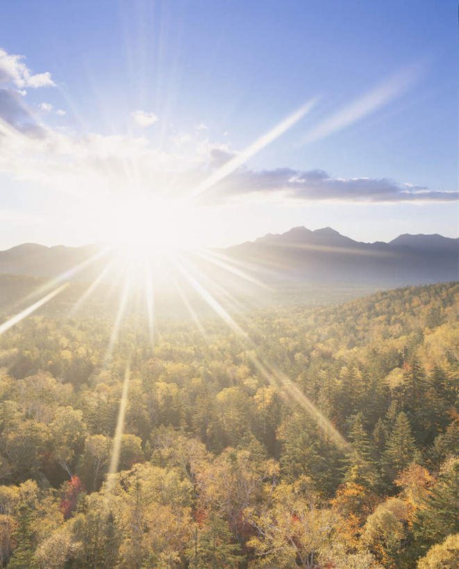 无人,竖图,全景,室外,白天,正面,旅游,度假,日出,美景,森林,山,山脉,树林,太阳,天际线,植物,日本,亚洲,朦胧,模糊,地平线,景观,山峰,云,云朵,辽阔,地面,朝霞,晨曦,黎明,山峦,云彩,娱乐,树,树木,蓝色,绿色,白云,蓝天,天空,阳光,自然,群山,天,享受,休闲,景色,放松,生长,晴朗,成长,一望无际,自然风光,延伸,东亚,日本国,天地相交,朝阳,晴空,彩图,破晓