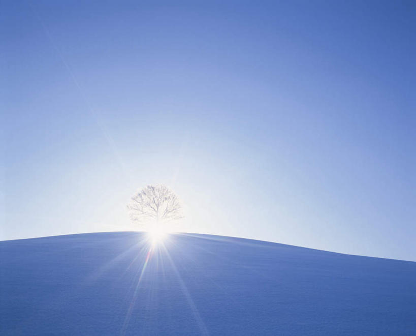 无人,横图,全景,室外,白天,仰视,旅游,度假,美景,山,山脉,天际线,北海道,日本,亚洲,阴影,朦胧,模糊,光线,影子,地平线,景观,山峰,辽阔,地面,山峦,娱乐,蓝色,蓝天,天空,阳光,自然,群山,天,享受,休闲,景色,放松,晴朗,一望无际,自然风光,延伸,东亚,万里无云,日本国,天地相交,北海道地方,北海道岛,美瑛町,美瑛,晴空,晴空万里,彩图,低角度拍摄