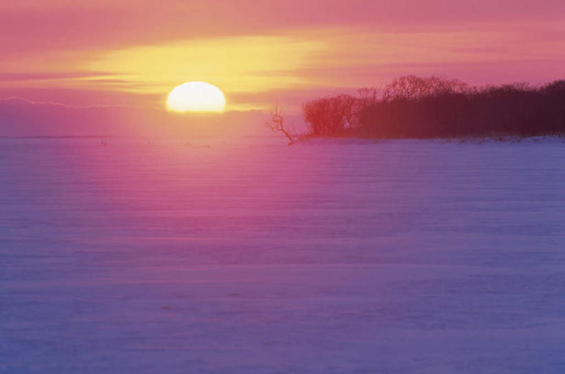 无人,横图,全景,室外,白天,正面,旅游,度假,日出,美景,树林,太阳,天际线,雪,植物,大雪,北海道,日本,亚洲,朦胧,模糊,地平线,积雪,景观,雪景,云,云朵,冬季,冬天,辽阔,地面,朝霞,晨曦,黎明,云彩,娱乐,树,树木,蓝色,绿色,白云,蓝天,天空,阳光,自然,天,享受,休闲,景色,放松,寒冷,生长,晴朗,成长,一望无际,自然风光,延伸,东亚,日本国,天地相交,北海道地方,北海道岛,严寒,朝阳,晴空,彩图,破晓