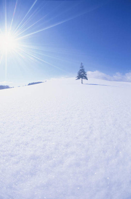 无人,竖图,全景,室外,白天,正面,旅游,度假,日出,美景,树林,太阳,天际线,雪,植物,大雪,北海道,日本,亚洲,阴影,朦胧,模糊,光线,影子,地平线,积雪,景观,雪景,冬季,冬天,辽阔,地面,朝霞,晨曦,黎明,娱乐,树,树木,蓝色,绿色,蓝天,天空,阳光,自然,天,享受,休闲,景色,放松,寒冷,生长,晴朗,成长,一望无际,自然风光,延伸,东亚,万里无云,日本国,天地相交,北海道地方,北海道岛,严寒,朝阳,晴空,晴空万里,彩图,破晓