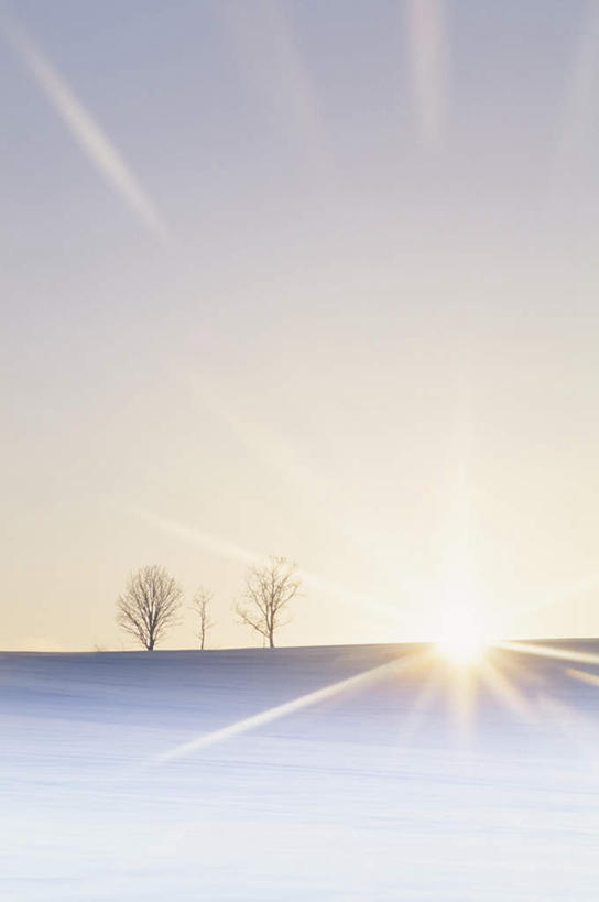 无人,竖图,全景,室外,白天,正面,旅游,度假,日出,美景,树林,太阳,天际线,雪,植物,大雪,北海道,日本,亚洲,阴影,朦胧,模糊,光线,影子,地平线,积雪,景观,雪景,冬季,冬天,辽阔,地面,朝霞,晨曦,黎明,娱乐,树,树木,绿色,天空,阳光,自然,天,享受,休闲,景色,放松,寒冷,生长,成长,一望无际,自然风光,延伸,东亚,日本国,天地相交,北海道地方,北海道岛,严寒,朝阳,彩图,破晓