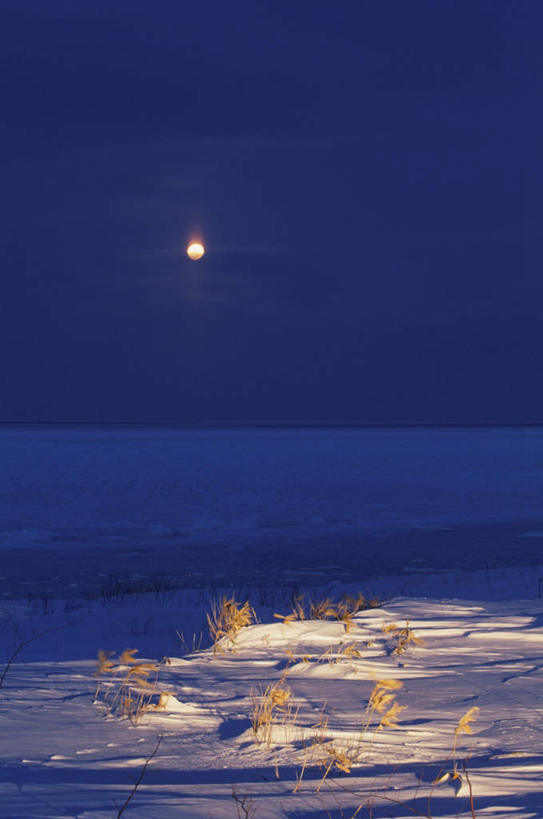 无人,竖图,全景,室外,夜晚,正面,旅游,度假,美景,树林,天际线,雪,植物,大雪,北海道,日本,亚洲,朦胧,模糊,地平线,积雪,景观,雪景,月亮,冬季,冬天,辽阔,地面,月光,娱乐,树,树木,蓝色,绿色,蓝天,天空,自然,天,享受,休闲,景色,放松,寒冷,生长,晴朗,成长,一望无际,明亮,自然风光,延伸,东亚,万里无云,日本国,天地相交,北海道地方,北海道岛,严寒,皎洁,晴空,晴空万里,彩图,一轮
