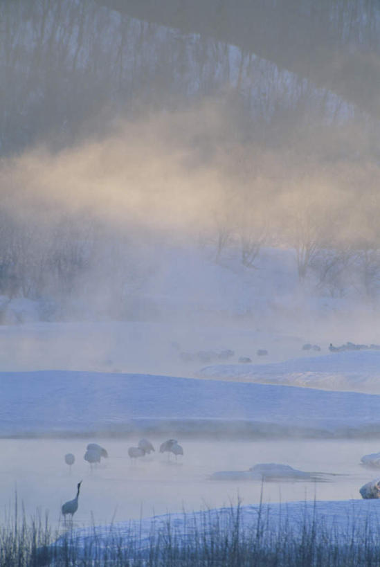 无人,竖图,全景,室外,白天,正面,旅游,度假,美景,山,山脉,树林,天际线,雪,植物,大雪,北海道,日本,亚洲,朦胧,模糊,地平线,积雪,景观,山峰,雪景,云,云朵,冬季,冬天,辽阔,地面,山峦,云彩,娱乐,树,树木,蓝色,绿色,白云,蓝天,天空,自然,群山,天,享受,休闲,景色,放松,寒冷,生长,晴朗,成长,一望无际,自然风光,延伸,东亚,日本国,天地相交,北海道地方,北海道岛,严寒,晴空,彩图