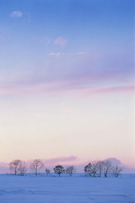 无人,竖图,全景,室外,白天,正面,旅游,度假,美景,树林,天际线,雪,植物,大雪,北海道,日本,亚洲,朦胧,模糊,地平线,积雪,景观,雪景,云,云朵,冬季,冬天,辽阔,地面,云彩,娱乐,树,树木,蓝色,绿色,白云,蓝天,天空,自然,天,享受,休闲,景色,放松,寒冷,生长,晴朗,成长,一望无际,自然风光,延伸,东亚,日本国,天地相交,北海道地方,北海道岛,严寒,晴空,彩图