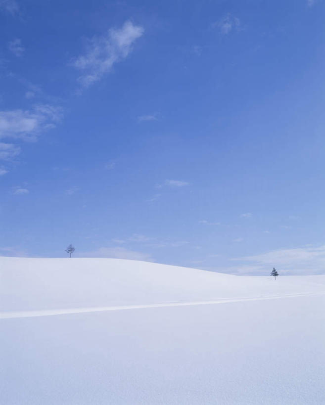 无人,竖图,全景,室外,白天,正面,旅游,度假,美景,树林,天际线,雪,植物,大雪,北海道,日本,亚洲,朦胧,模糊,地平线,积雪,景观,雪景,云,云朵,冬季,冬天,辽阔,地面,云彩,娱乐,树,树木,蓝色,绿色,白云,蓝天,天空,自然,天,享受,休闲,景色,放松,寒冷,生长,晴朗,成长,一望无际,自然风光,延伸,东亚,日本国,天地相交,北海道地方,北海道岛,严寒,晴空,彩图
