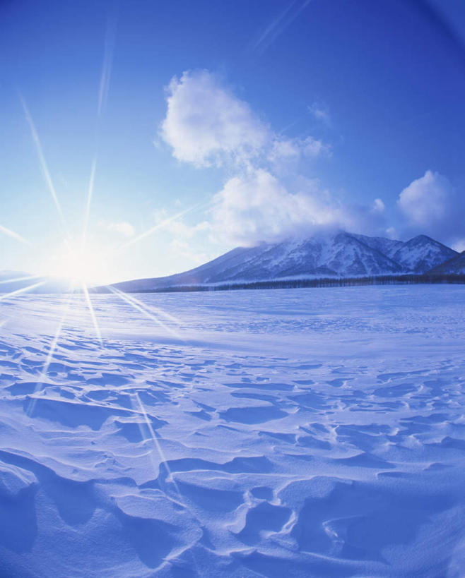 无人,竖图,全景,室外,白天,正面,旅游,度假,日出,美景,树林,太阳,天际线,雪,植物,大雪,北海道,日本,亚洲,朦胧,模糊,地平线,积雪,景观,雪景,云,云朵,冬季,冬天,辽阔,地面,朝霞,晨曦,黎明,云彩,娱乐,树,树木,蓝色,绿色,白云,蓝天,天空,阳光,自然,天,享受,休闲,景色,放松,寒冷,生长,晴朗,成长,一望无际,自然风光,延伸,东亚,日本国,天地相交,北海道地方,北海道岛,严寒,朝阳,晴空,彩图,破晓