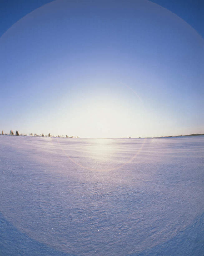 无人,竖图,全景,室外,白天,正面,旅游,度假,日出,美景,树林,太阳,天际线,雪,植物,大雪,北海道,日本,亚洲,朦胧,模糊,地平线,积雪,景观,雪景,冬季,冬天,辽阔,地面,朝霞,晨曦,黎明,娱乐,树,树木,蓝色,绿色,蓝天,天空,阳光,自然,天,享受,休闲,景色,放松,寒冷,生长,晴朗,成长,一望无际,自然风光,延伸,东亚,万里无云,日本国,天地相交,北海道地方,北海道岛,严寒,朝阳,晴空,晴空万里,彩图,破晓