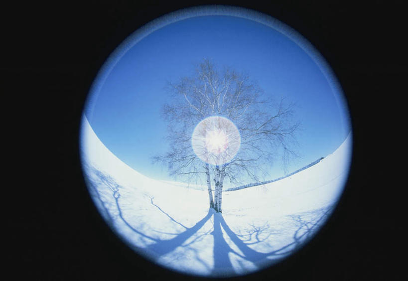 无人,横图,室外,白天,广角镜头,鱼眼镜头,仰视,旅游,度假,美景,雪,植物,大雪,北海道,日本,亚洲,一棵,阴影,黑色背景,枯萎,朦胧,模糊,光线,圆形,影子,圆环,地平线,积雪,景观,雪景,冬季,冬天,辽阔,枯树,枝条,地面,娱乐,树,树干,树木,树枝,蓝色,绿色,蓝天,天空,阳光,自然,天,享受,休闲,景色,放松,寒冷,生长,晴朗,成长,一望无际,环形,自然风光,延伸,东亚,万里无云,日本国,天地相交,北海道地方,北海道岛,美瑛町,严寒,美瑛,晴空,晴空万里,彩图,低角度拍摄