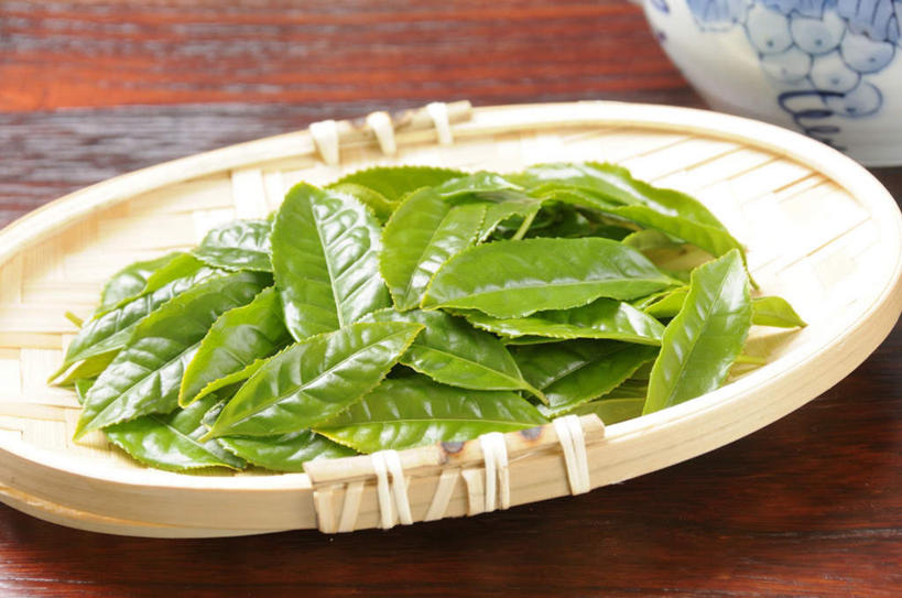 无人,横图,俯视,室内,特写,白天,幸福,餐桌,茶,桌面,桌子,静物,餐具,叶子,一堆,许多,堆叠,堆积,朦胧,模糊,碟子,壶,盘,茶叶,绿叶,娱乐,水壶,盘子,茶壶,碟,享受,休闲,温馨,嫩叶,放松,乐趣,摄影,影棚,餐台,堆,提神,舒适,醒脑,叶,叶片,彩图,高角度拍摄,影棚拍摄,拍摄