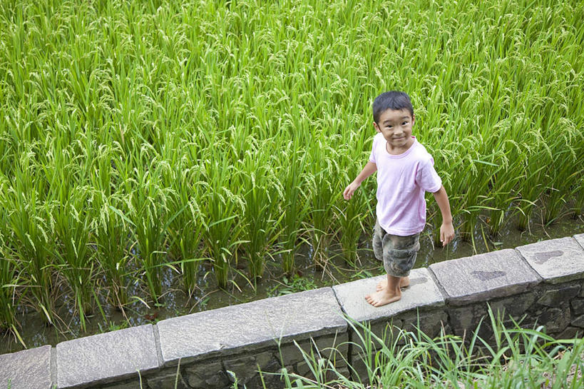 东方人,儿童,一个人,农田,站,笑,微笑,露齿笑,横图,俯视,室外,白天,纯洁,庄稼,农作物,亚洲,仅一个男性,仅一个人,朦胧,模糊,注视,黄种人,小孩,看,站着,仅一个小孩,可爱,童年,童趣,关注,童真,烂漫,无邪,天真,男孩,男人,男性,亚洲人,孩子,抬头,仰头,站立,彩图,高角度拍摄,全身,耕地,庄稼田,男生