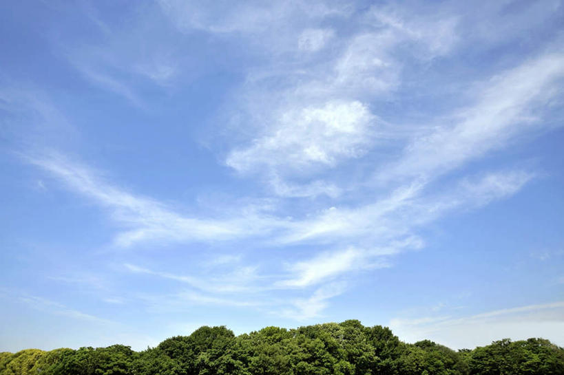 无人,横图,室外,白天,仰视,旅游,草地,草坪,美景,树林,植物,日本,亚洲,朦胧,模糊,景观,云,云朵,云彩,草,树,树木,蓝色,绿色,白云,蓝天,天空,自然,天,景色,大阪,生长,晴朗,成长,自然风光,东亚,本州,大阪府,本州岛,日本国,近畿地方,近畿,晴空,彩图,低角度拍摄,游览