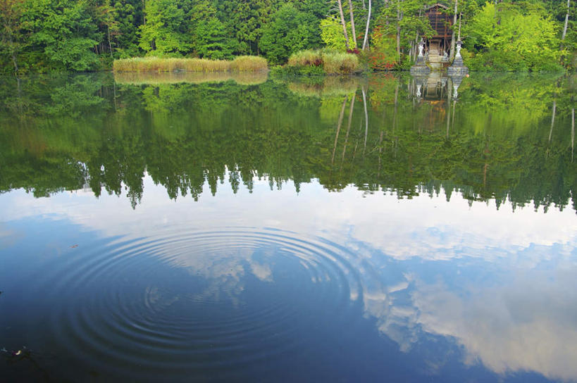 无人,横图,俯视,室外,白天,旅游,草地,草坪,湖,湖泊,美景,森林,树林,水,植物,日本,亚洲,阴影,波纹,朦胧,模糊,反射,影子,湖面,景观,水流,水面,云,云朵,涟漪,云彩,草,树,树木,蓝色,绿色,白云,蓝天,水纹,天空,自然,波浪,湖水,天,景色,大阪,生长,晴朗,成长,自然风光,东亚,本州,大阪府,本州岛,日本国,近畿地方,近畿,水晕,晴空,彩图,高角度拍摄,游览