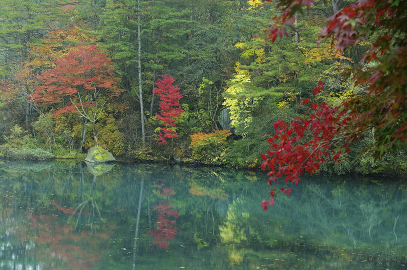 无人,横图,室外,白天,正面,旅游,河流,美景,秋季,森林,树林,水,植物,日本,亚洲,阴影,朦胧,模糊,反射,影子,河水,景观,水流,树,树木,绿色,自然,景色,生长,成长,自然风光,东亚,本州,本州岛,日本国,东北地方,福岛,福岛县,秋,秋天,彩图,游览