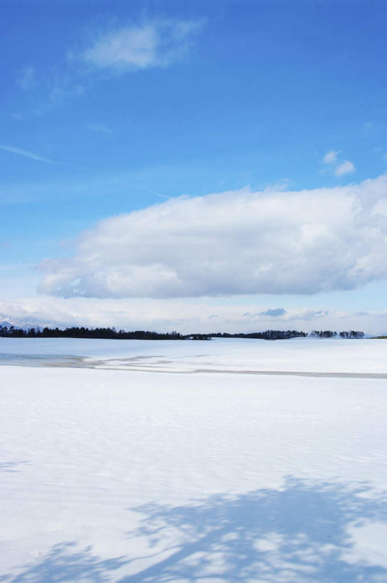 无人,农田,竖图,室外,白天,仰视,旅游,庄稼,农作物,美景,森林,树林,雪,植物,大雪,长野县,日本,亚洲,朦胧,模糊,积雪,景观,雪景,云,云朵,冬季,冬天,云彩,树,树木,蓝色,绿色,白云,蓝天,天空,自然,天,景色,寒冷,生长,晴朗,成长,自然风光,东亚,本州,本州岛,日本国,中部地方,长野,严寒,晴空,彩图,低角度拍摄,游览,耕地,庄稼田