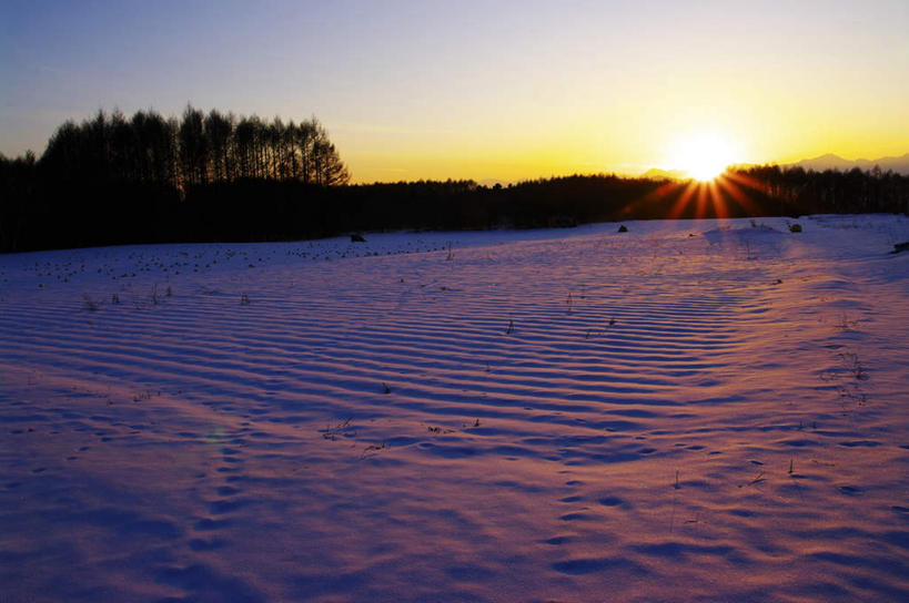 无人,横图,室外,白天,仰视,旅游,美景,日落,树林,雪,植物,大雪,长野县,日本,亚洲,阴影,朦胧,模糊,光线,影子,积雪,景观,晚霞,霞光,雪景,冬季,冬天,树,树木,蓝色,绿色,蓝天,天空,阳光,自然,黄昏,天,景色,彩霞,寒冷,生长,晴朗,成长,自然风光,东亚,本州,万里无云,本州岛,日本国,中部地方,长野,严寒,晴空,晴空万里,夕阳,彩图,低角度拍摄,游览