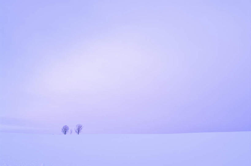 无人,横图,室外,白天,正面,旅游,度假,美景,雪,植物,大雪,北海道,日本,亚洲,阴影,光线,影子,积雪,景观,雪景,云,云朵,冬季,冬天,云彩,娱乐,树,树木,蓝色,绿色,白云,蓝天,天空,阳光,自然,天,享受,休闲,景色,放松,寒冷,生长,成长,自然风光,东亚,日本国,北海道地方,北海道岛,严寒,彩图