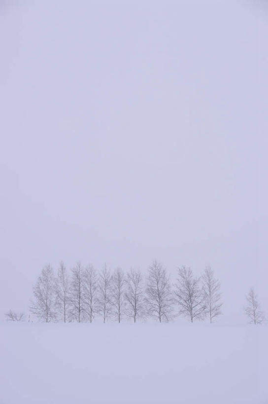 无人,竖图,室外,白天,正面,旅游,度假,美景,雪,植物,大雪,北海道,日本,亚洲,阴影,光线,影子,积雪,景观,雪景,云,云朵,冬季,冬天,云彩,娱乐,树,树木,蓝色,绿色,白云,蓝天,天空,阳光,自然,天,享受,休闲,景色,放松,寒冷,生长,成长,自然风光,东亚,日本国,北海道地方,北海道岛,严寒,彩图