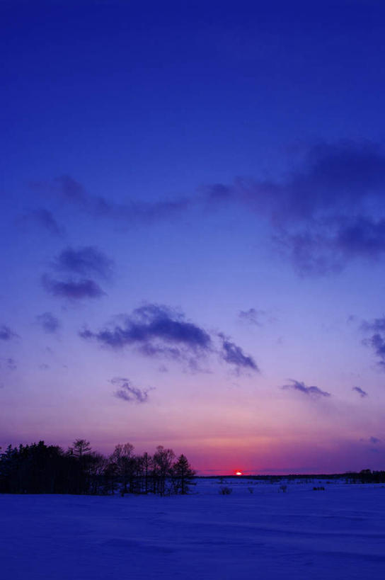 无人,竖图,室外,白天,正面,旅游,度假,美景,日落,雪,植物,大雪,日本,亚洲,积雪,景观,晚霞,霞光,雪景,云,云朵,冬季,冬天,云彩,娱乐,树,树木,蓝色,绿色,白云,蓝天,天空,自然,黄昏,天,享受,休闲,景色,彩霞,放松,寒冷,生长,成长,自然风光,东亚,本州,本州岛,日本国,近畿地方,近畿,滋贺,滋贺县,严寒,夕阳,彩图