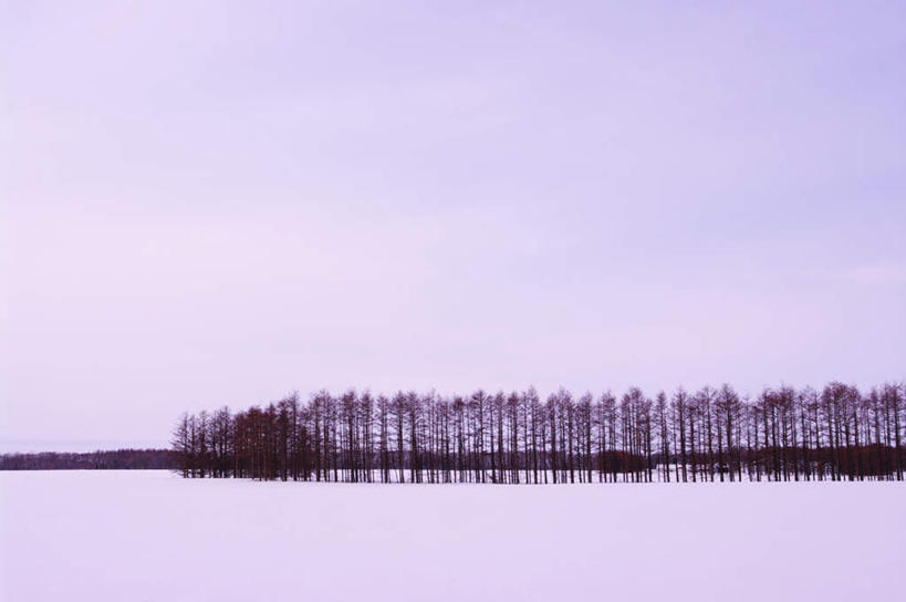 无人,横图,室外,白天,正面,旅游,度假,美景,雪,植物,大雪,北海道,日本,亚洲,一排,阴影,整齐,光线,影子,积雪,景观,雪景,云,云朵,冬季,冬天,云彩,娱乐,树,树木,排列,蓝色,绿色,白云,蓝天,天空,阳光,自然,天,享受,休闲,景色,放松,寒冷,生长,成长,队列,自然风光,东亚,日本国,北海道地方,北海道岛,严寒,彩图