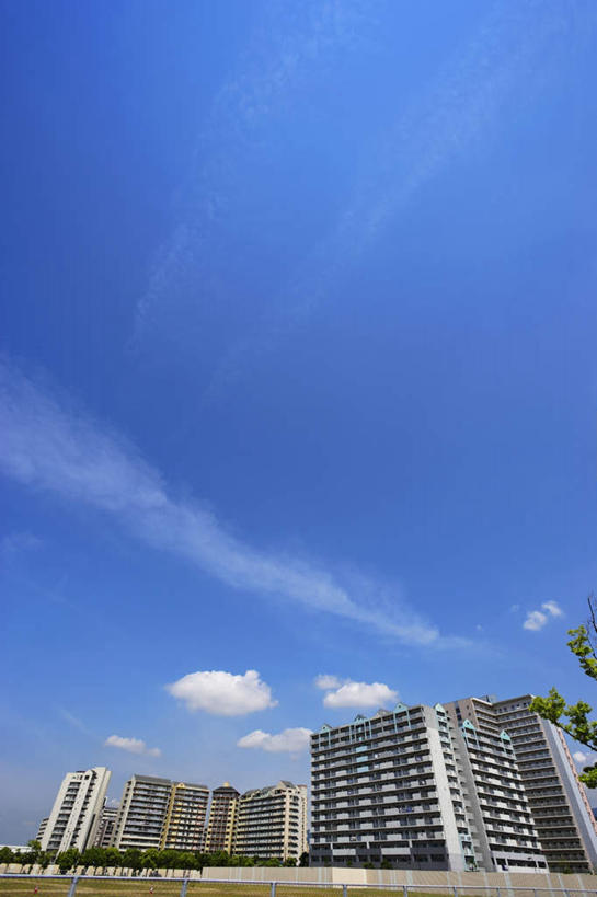 无人,高楼大厦,竖图,室外,白天,仰视,度假,草地,草坪,美景,植物,城市风光,城市,大厦,道路,建筑,路,摩天大楼,公路,日本,亚洲,一排,阴影,整齐,光线,影子,景观,云,云朵,交通,云彩,娱乐,草,树,树木,排列,蓝色,绿色,白云,蓝天,天空,阳光,自然,天,享受,休闲,景色,放松,生长,成长,队列,东亚,本州,本州岛,日本国,近畿地方,近畿,兵库,兵库县,马路,彩图,低角度拍摄,大楼,高层建筑,高楼,摩天楼