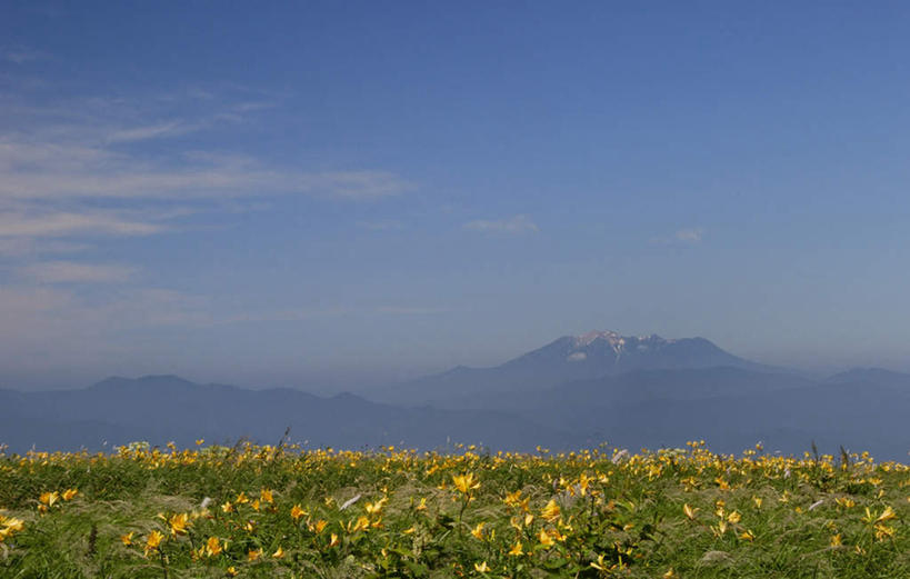 无人,横图,室外,白天,正面,旅游,度假,草地,草坪,花海,花圃,美景,森林,山,山脉,树林,植物,萱草,叶子,长野县,日本,亚洲,许多,阴影,盛开,光线,影子,景观,山峰,云,云朵,山峦,花蕾,云彩,娱乐,草,花,花瓣,花朵,花卉,鲜花,树,树木,黄色,蓝色,绿色,白云,蓝天,天空,阳光,自然,花丛,花束,花田,群山,天,花苞,花蕊,享受,休闲,景色,放松,生长,成长,自然风光,东亚,本州,本州岛,日本国,中部地方,长野,疗愁,萱草花,宜男,忘忧草,金针菜,黄花菜,彩图