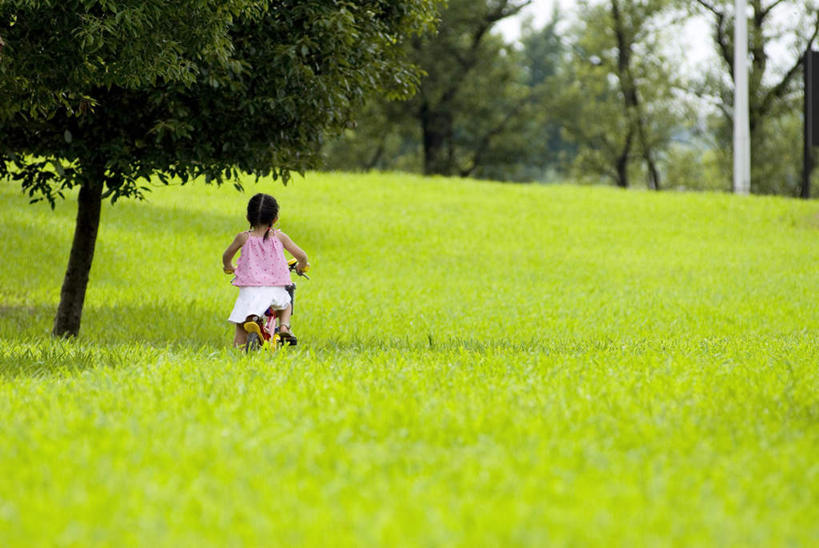 东方人,儿童,一个人,坐,横图,室外,白天,纯洁,草地,草坪,树林,植物,自行车,亚洲,仅一个女性,仅一个人,黄种人,车,脚踏车,草,树,树木,小孩,骑,背面,蓝色,绿色,蓝天,天空,自然,交通工具,天,仅一个小孩,可爱,童年,童趣,搭,生长,晴朗,成长,搭着,载具,童真,烂漫,无邪,万里无云,天真,女孩,女人,女性,亚洲人,孩子,晴空,晴空万里,坐着,彩图,全身,女生