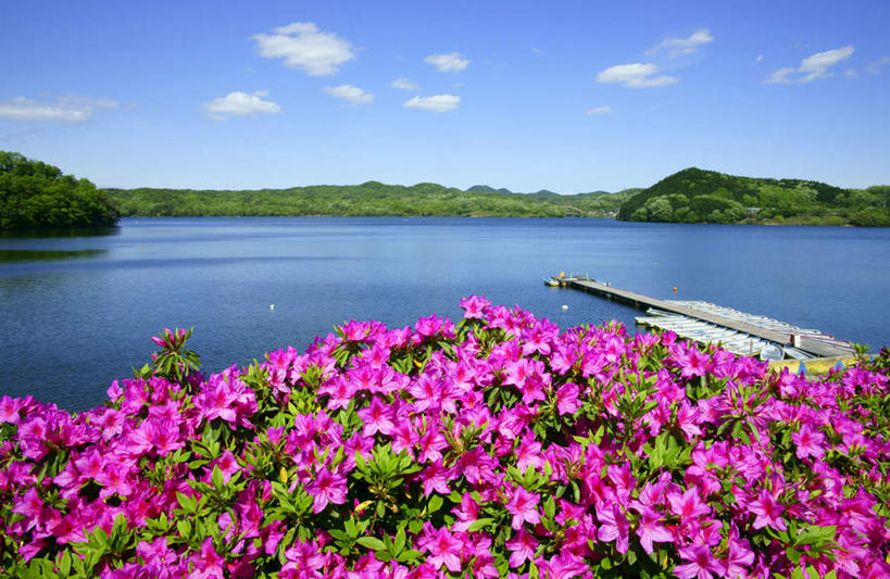 无人,码头,横图,俯视,室外,白天,旅游,度假,河流,美景,山,山脉,水,植物,港口,杜鹃花,爱知县,日本,亚洲,河水,景观,山峰,水流,云,云朵,杜鹃,山峦,云彩,娱乐,树,树木,蓝色,绿色,白云,蓝天,天空,自然,群山,天,享受,休闲,景色,放松,生长,晴朗,成长,喜悦,克制,自然风光,东亚,本州,本州岛,日本国,中部地方,红杜鹃,满山红,清明花,清时,山踯躅,红踯躅,爱知,节制,欣喜,山石榴,映山红,晴空,彩图,高角度拍摄,摆渡口,埠头,渡口,渡头,港湾,海港,货运码头,口岸,商港