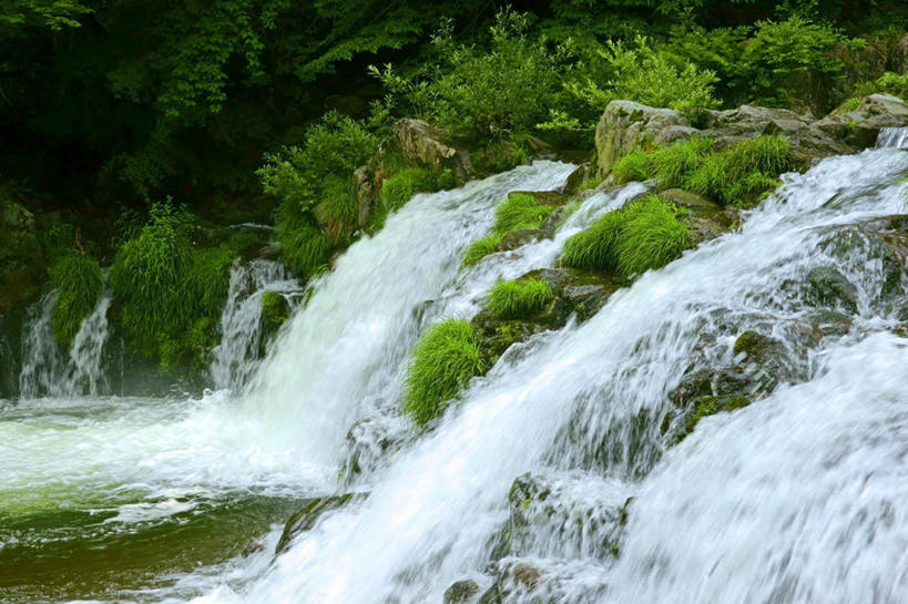 无人,横图,室外,白天,正面,旅游,度假,河流,石头,美景,瀑布,山,山脉,水,植物,日本,亚洲,飞溅,溅,石子,液体,河水,景观,山峰,水滴,水流,山峦,娱乐,水珠,树,树木,绿色,小溪,自然,群山,溪水,享受,休闲,景色,放松,生长,成长,喷洒,自然风光,东亚,本州,本州岛,日本国,中部地方,岐阜,岐阜县,跌水,石块,岩石,彩图