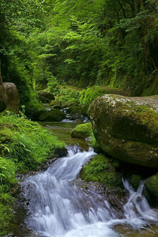 无人,竖图,俯视,室外,白天,旅游,度假,河流,美景,山,山脉,水,植物,日本,亚洲,阴影,光线,影子,河水,景观,山峰,水流,山峦,娱乐,树,树木,绿色,小溪,阳光,自然,群山,溪水,享受,休闲,景色,放松,生长,成长,自然风光,东亚,本州,本州岛,日本国,中部地方,岐阜,岐阜县,彩图,高角度拍摄