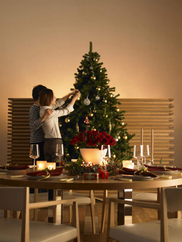 东方人,家庭,夫妻,站,举,竖图,室内,白天,侧面,爱情,幸福,纯洁,热情,美景,植物,桌子,玫瑰,杯子,餐具,蜡烛,礼盒,礼物,圣诞节,亚洲,一棵,许多,节日,庆祝,装饰,叉子,碟子,高脚杯,盘,纸盒,勺子,墙,景观,圣诞树,玫瑰花,红酒杯,浪漫,花蕾,注视,黄种人,文化,墙壁,墙面,玻璃制品,盒子,花瓣,花朵,花卉,鲜花,树,树木,绿色,自然,包装盒,盘子,酒杯,礼品盒,调羹,碟,汤匙,花苞,观察,看,托,站着,庆典,温暖,温馨,一家人,景色,恩爱,搭,恋人,礼品,生长,成长,观看,纪念,华丽,修饰,点缀,和睦,察看,搭着,关注,自然风光,感动,衬托,美观,雅致,雅观,尊敬,天真,刺玫花,徘徊花,男人,男性,年轻男性,年轻女性,女人,女性,亚洲人,年轻人,夫妇,情侣,玻璃杯,举起,举手,举着,向上举,向上伸,向上托,站立,半身,彩图,伴侣,融洽