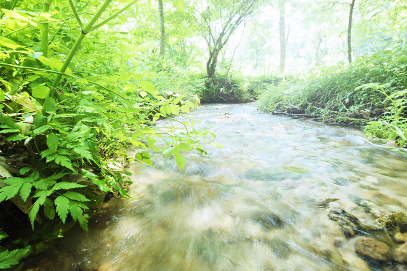 无人,横图,室外,白天,正面,旅游,度假,草地,草坪,河流,美景,水,植物,日本,亚洲,阴影,光线,影子,河水,景观,水流,娱乐,草,树,树木,绿色,小溪,阳光,自然,溪水,享受,休闲,景色,放松,生长,成长,自然风光,东亚,本州,本州岛,日本国,中国地方,鸟取,鸟取县,彩图