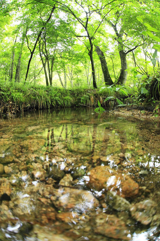 无人,竖图,室外,白天,正面,旅游,度假,草地,草坪,河流,美景,水,植物,日本,亚洲,阴影,光线,影子,河水,景观,水流,云,云朵,云彩,娱乐,草,树,树木,绿色,白云,天空,小溪,阳光,自然,天,溪水,享受,休闲,景色,放松,生长,成长,自然风光,东亚,本州,本州岛,日本国,中国地方,鸟取,鸟取县,彩图