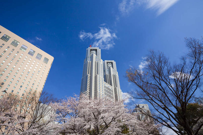 无人,高楼大厦,横图,室外,白天,仰视,度假,幸福,纯洁,办公楼,花海,花圃,美景,植物,城市风光,标志建筑,城市,大厦,地标,建筑,摩天大楼,写字楼,樱花,叶子,东京,日本,许多,盛开,景观,新宿,花蕾,娱乐,建设,花,花瓣,花朵,花卉,鲜花,树,树木,粉色,蓝色,绿色,蓝天,天空,自然,楼宇,花丛,花束,花田,天,花苞,花蕊,享受,休闲,商务楼,景色,放松,生长,成长,等待,生命,东亚,本州,关东地方,本州岛,日本国,东京都,新宿区,仙樱花,福岛樱,青肤樱,高尚,县厅,东京市,热烈,荆桃,彩图,低角度拍摄,大楼,高层建筑,高楼,摩天楼