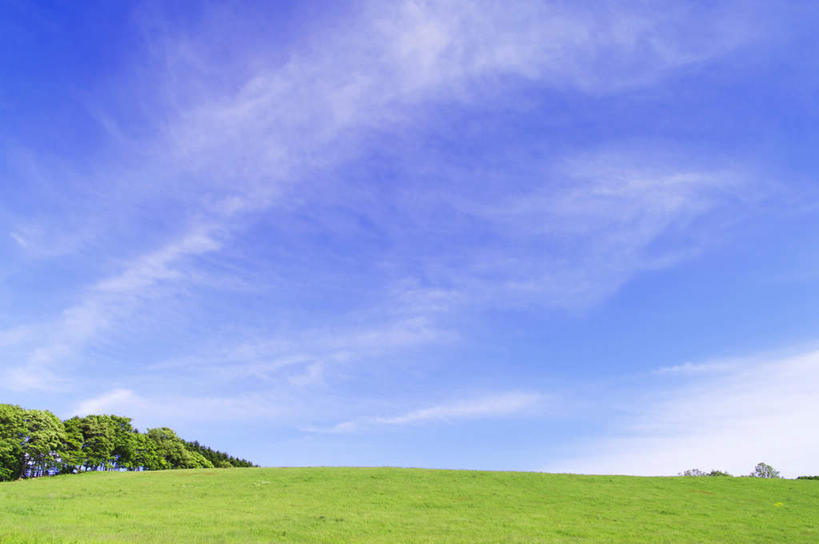 无人,农田,横图,室外,白天,正面,旅游,度假,庄稼,农作物,草地,草坪,美景,植物,北海道,日本,亚洲,阴影,光线,影子,地平线,景观,云,云朵,辽阔,地面,云彩,娱乐,草,树,树木,蓝色,绿色,白云,蓝天,天空,阳光,自然,天,享受,休闲,广阔,景色,放松,生长,晴朗,成长,一望无际,自然风光,延伸,东亚,日本国,天地相交,北海道地方,北海道岛,无边无际,一马平川,晴空,彩图,耕地,庄稼田