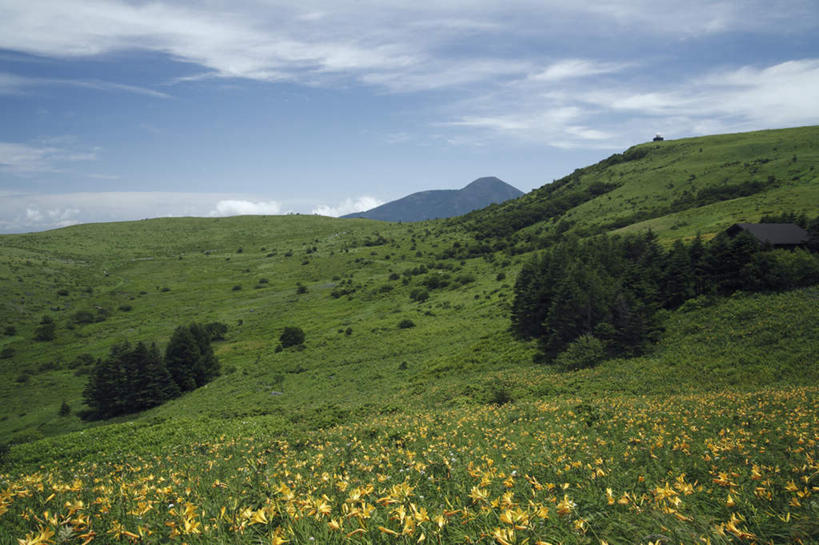 无人,横图,俯视,室外,白天,旅游,度假,石头,美景,山,山脉,植物,百合花,叶子,长野县,日本,亚洲,许多,盛开,石子,景观,山顶,山峰,云,云朵,绿叶,山峦,云彩,娱乐,花,花瓣,花朵,花卉,鲜花,黄色,蓝色,白云,蓝天,天空,自然,群山,天,花蕊,享受,休闲,嫩叶,景色,放松,晴朗,自然风光,东亚,沉积岩,本州,本州岛,日本国,中部地方,长野,强瞿,颠峰,极峰,水成岩,百合蒜,倒仙,番韭,山丹,叶,叶片,石块,岩石,晴空,彩图,高角度拍摄