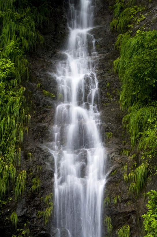 无人,竖图,室外,白天,正面,长时间曝光,旅游,度假,美景,瀑布,森林,树林,水,植物,日本,亚洲,飞溅,朦胧,模糊,溅,液体,景观,水滴,娱乐,水珠,树,树木,绿色,自然,享受,休闲,景色,放松,生长,成长,喷洒,自然风光,东亚,本州,本州岛,日本国,青森,青森县,东北地方,跌水,彩图