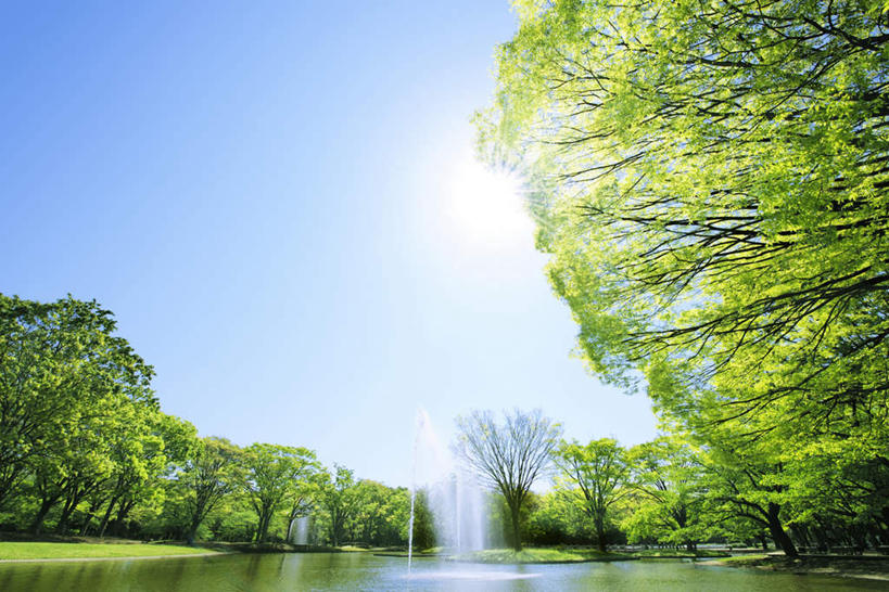 无人,横图,室外,白天,仰视,旅游,度假,河流,美景,水,植物,东京,日本,亚洲,阴影,光线,影子,河水,景观,水流,娱乐,树,树木,蓝色,绿色,蓝天,天空,阳光,自然,天,享受,休闲,景色,放松,生长,晴朗,成长,自然风光,东亚,本州,万里无云,关东地方,本州岛,日本国,东京都,晴空,晴空万里,彩图,低角度拍摄