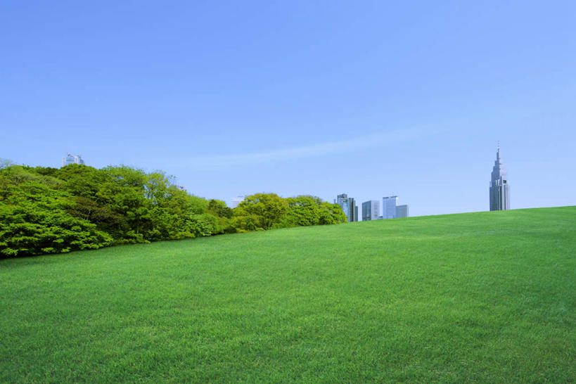 无人,高楼大厦,横图,室外,白天,仰视,旅游,度假,办公楼,美景,植物,大厦,建筑,摩天大楼,写字楼,东京,日本,亚洲,阴影,光线,影子,景观,娱乐,树,树木,蓝色,绿色,蓝天,天空,阳光,自然,楼宇,天,享受,休闲,商务楼,景色,放松,生长,晴朗,成长,自然风光,东亚,本州,万里无云,关东地方,本州岛,日本国,东京都,晴空,晴空万里,彩图,低角度拍摄,大楼,高层建筑,高楼,摩天楼