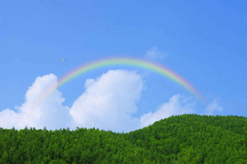 无人,横图,室外,白天,仰视,旅游,度假,彩虹,石头,美景,山,山脉,植物,东京,日本,亚洲,石子,景观,山顶,山峰,云,云朵,山峦,云彩,娱乐,树,树木,蓝色,绿色,白云,蓝天,天空,自然,群山,天,享受,休闲,景色,放松,生长,晴朗,成长,自然风光,东亚,沉积岩,本州,关东地方,本州岛,日本国,东京都,颠峰,极峰,水成岩,石块,岩石,虹,虹桥,七彩虹,晴空,天虹,彩图,低角度拍摄