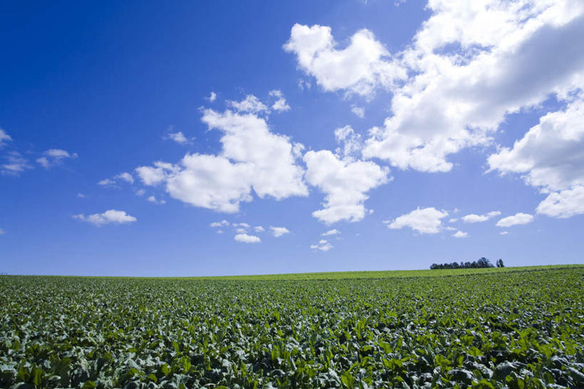 无人,横图,室外,白天,正面,旅游,度假,草地,草坪,美景,植物,北海道,日本,亚洲,地平线,景观,云,云朵,辽阔,地面,云彩,娱乐,草,树,树木,蓝色,绿色,白云,蓝天,天空,自然,天,享受,休闲,广阔,景色,放松,生长,晴朗,成长,一望无际,自然风光,延伸,东亚,日本国,天地相交,北海道地方,北海道岛,无边无际,一马平川,晴空,彩图